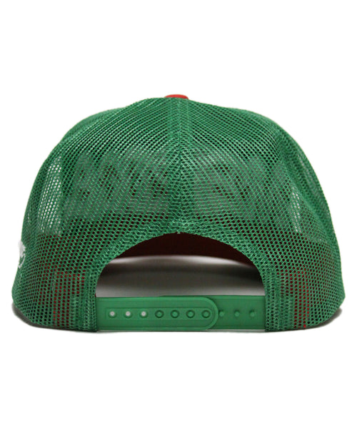 "MEXICO" SPELL OUT (TRUCKER)