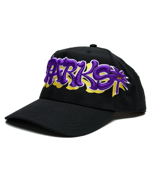 "SPARKS" SNAP BACK (PURP/GOLD)