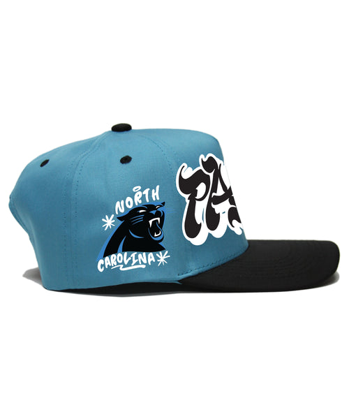 "PANTHERS" 2-TONE (TEAL/BLACK)